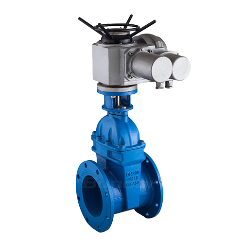 Electric Gate Valve1